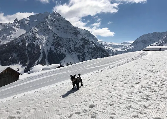Bergpanorama, Sauna, Balkon, Inkl Bergbahn, Alpenjuwel Apartmán *