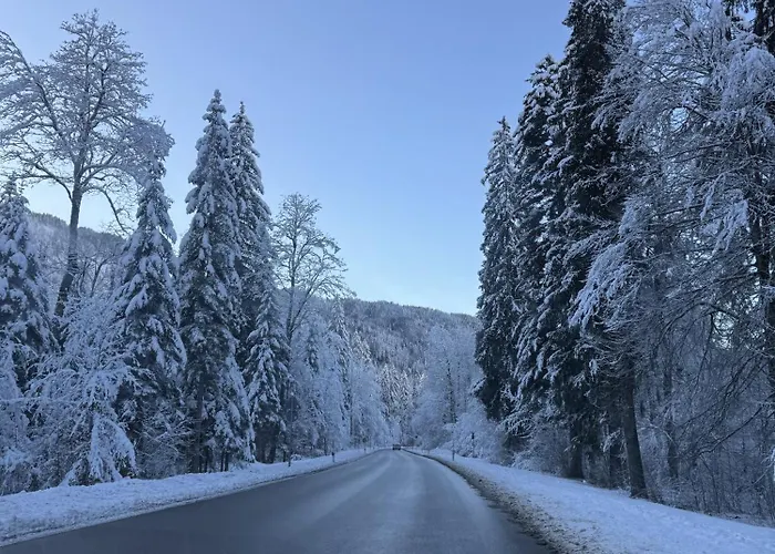 Bergpanorama, Sauna, Balkon, Inkl Bergbahn, Alpenjuwel *