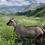 Bergpanorama, Sauna, Balkon, Inkl Bergbahn, Alpenjuwel *