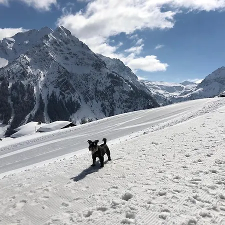 Bergpanorama, Sauna, Balkon, Inkl Bergbahn, Alpenjuwel 公寓 *