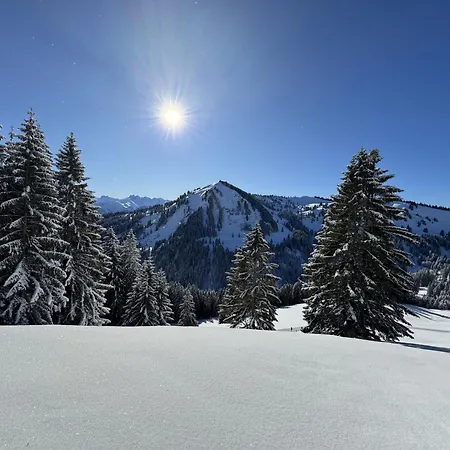 Apartman Bergpanorama, Sauna, Balkon, Inkl Bergbahn, Alpenjuwel Oberstdorf