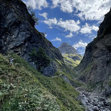 Bergpanorama, Sauna, Balkon, Inkl Bergbahn, Alpenjuwel 오버스트도르프