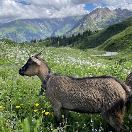 Bergpanorama, Sauna, Balkon, Inkl Bergbahn, Alpenjuwel *