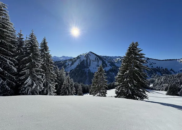 Apartament Bergpanorama, Sauna, Balkon, Inkl Bergbahn, Alpenjuwel Oberstdorf